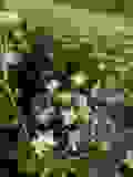 62526193_10156917208353500_984250446606499840_n